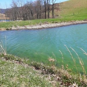 Meet your Posher, Tina